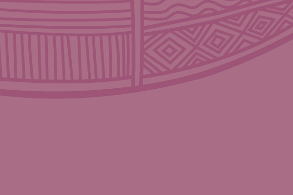 Systemic Failures Urgent Action – fixing the infrastructure crisis in Aboriginal health and wellbeing